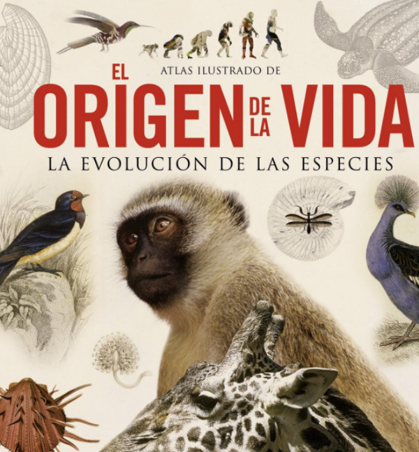 El  origen  de la vida. La evolución de las especies