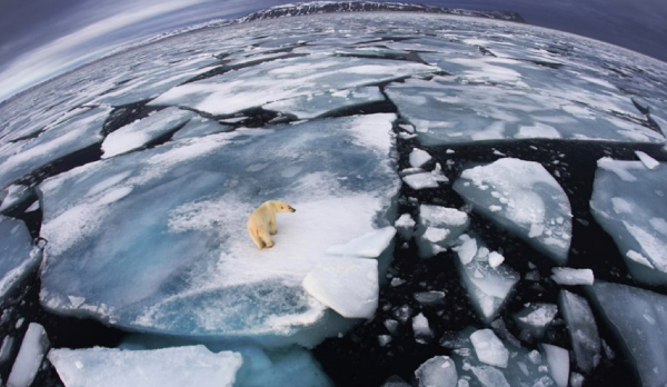 El hielo perdido